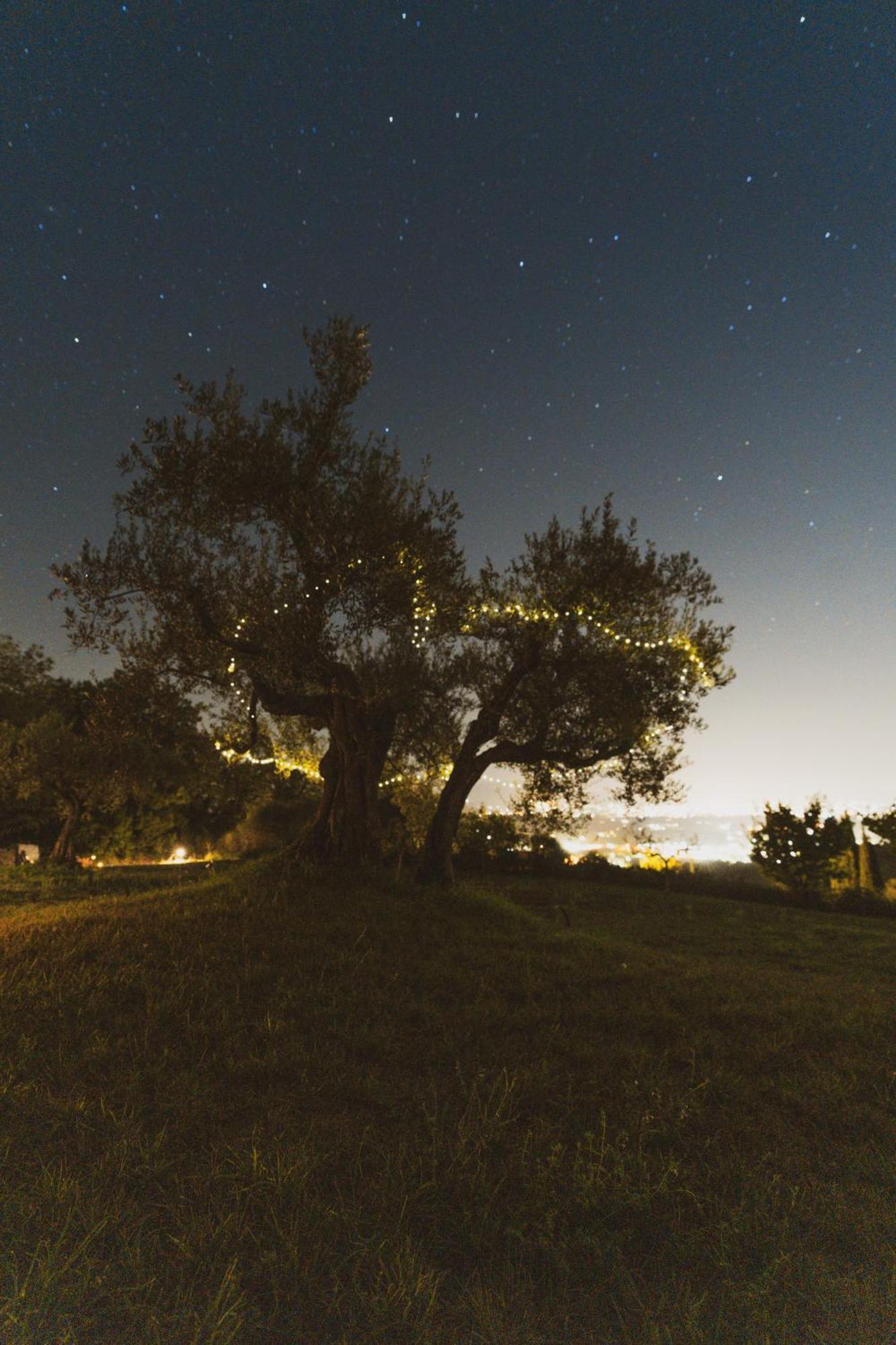 Agriturismo San Felicissimo بيرودجا المظهر الخارجي الصورة