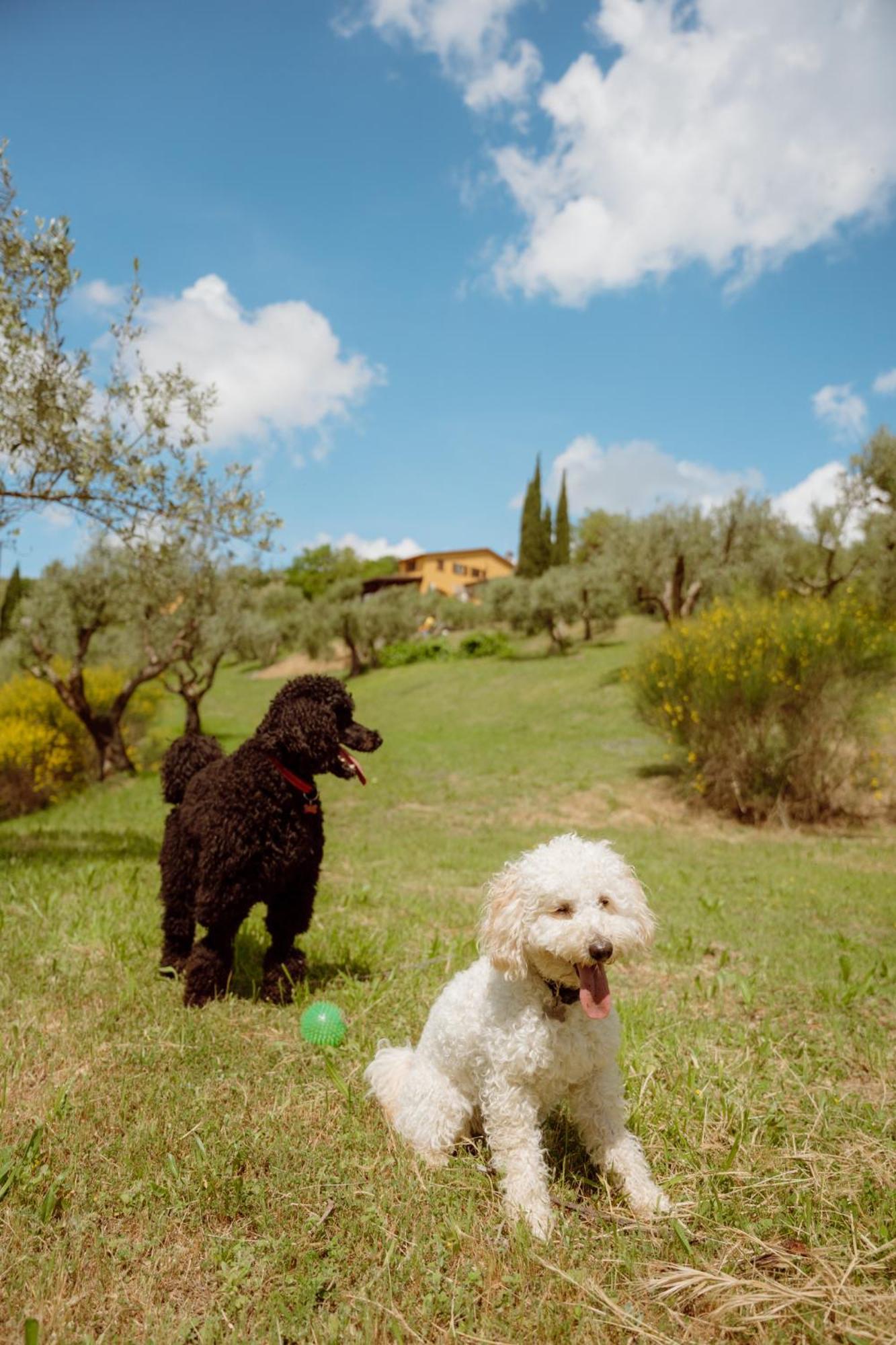 Agriturismo San Felicissimo بيرودجا المظهر الخارجي الصورة