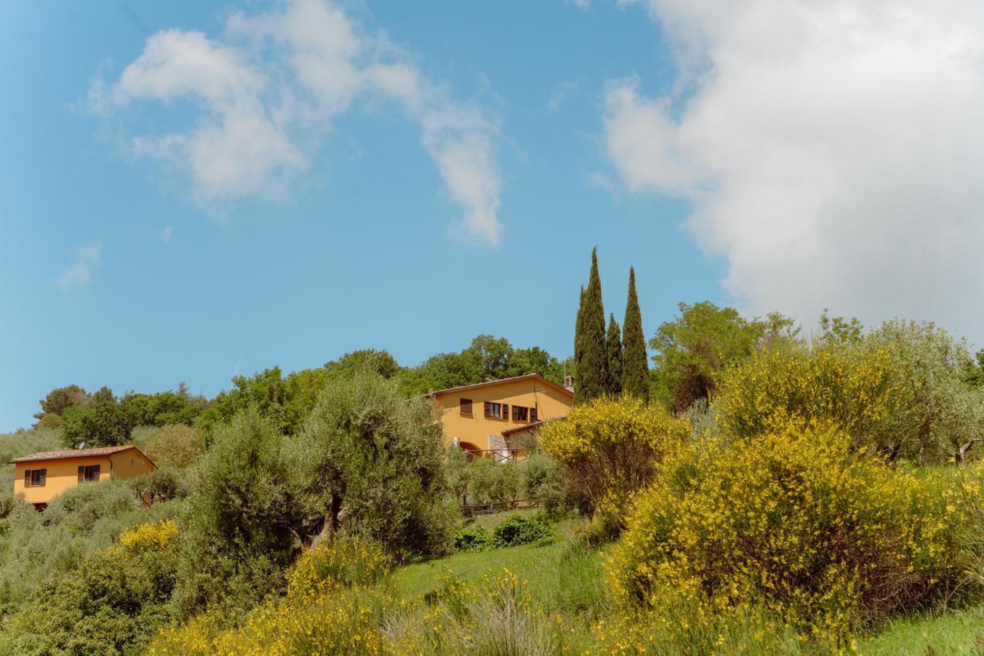 Agriturismo San Felicissimo بيرودجا المظهر الخارجي الصورة